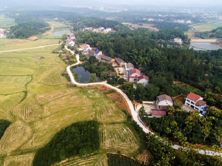 【求真务实铸精品，凝心聚力创品牌】常德路桥集团推进工程建设高质量发展(图6)