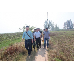 集团公司开展“一进二访”活动