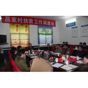 顾晓董事长深入澧县码头铺镇昌家村开展扶贫工作