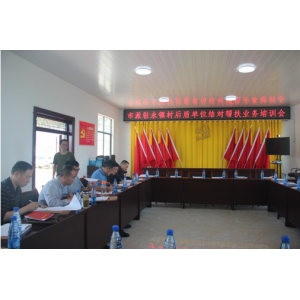 集团公司开展下乡帮扶慰问