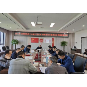 常德路桥集团 党委理论学习中心组 学习贯彻党的十九届六中全会精神