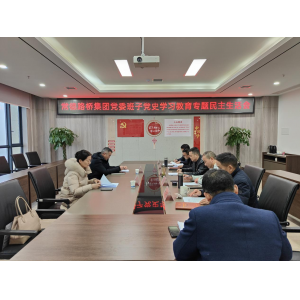 常德路桥集团公司党委班子召开党史学习教育专题民主生活会